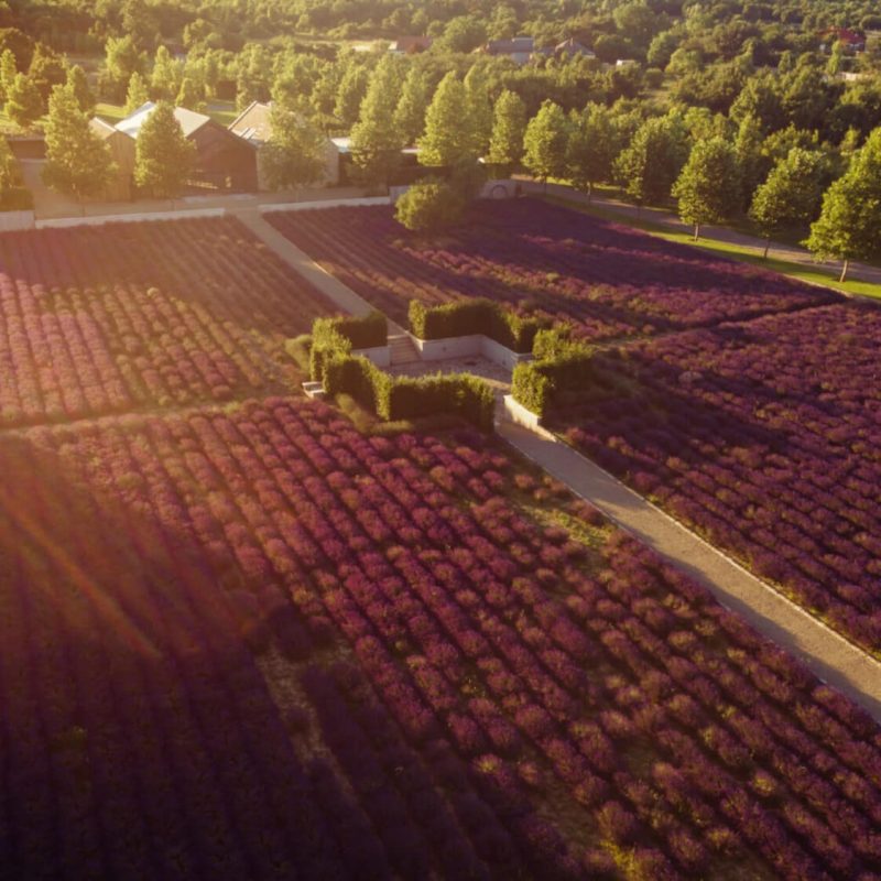 DJI_0269